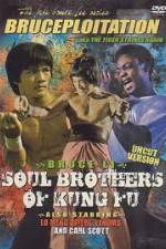 Watch Soul Brothers of Kung Fu Vodly