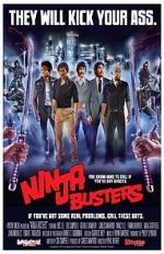 Watch Ninja Busters Vodly