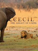 Watch Cecil: The Legacy of a King Vodly