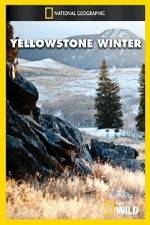 Watch National Geographic Yellowstone Winter Vodly