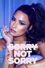 Watch Demi Lovato: Sorry Not Sorry Vodly