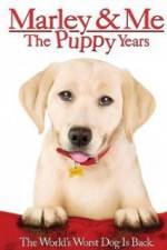 Watch Marley and Me The Puppy Years Vodly