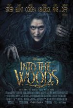 Watch Into the Woods Vodly