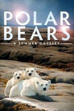 Watch Polar Bears: A Summer Odyssey Vodly