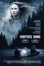 Watch Winter's Bone Vodly