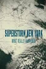 Watch Superstorm New York: What Really Happened Vodly