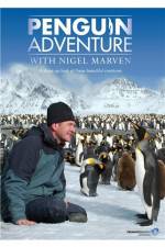 Watch Penguin Adventure With Nigel Marven Vodly