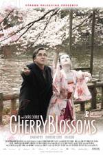 Watch Cherry Blossoms Vodly