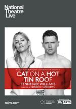 Watch Cat on a Hot Tin Roof Vodly