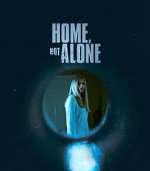 Watch Home, Not Alone Vodly