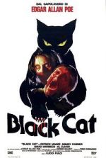 Watch The Black Cat Vodly