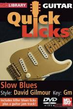 Watch Lick Library Quick Licks David Gilmour Vodly