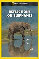 Watch Reflections on Elephants Vodly