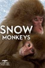 Watch Nature: Snow Monkeys Vodly