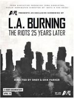 Watch L.A. Burning: The Riots 25 Years Later Vodly