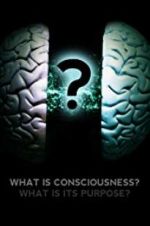 Watch What Is Consciousness? What Is Its Purpose? Vodly