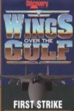 Watch Wings Over the Gulf Vol  1  First Strike Vodly