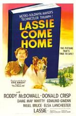 Watch Lassie Come Home Vodly