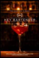 Watch Hey Bartender Vodly