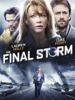 Watch The Final Storm Vodly