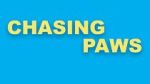 Watch Chasing Paws (Short 2020) Vodly