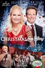 Watch A Christmas Love Story Vodly