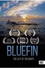 Watch Bluefin Vodly