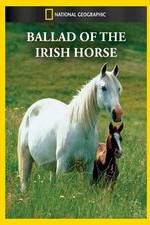 Watch Ballad of the Irish Horse Vodly