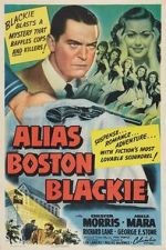 Watch Alias Boston Blackie Vodly