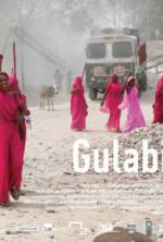 Watch Gulabi Gang Vodly