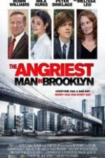 Watch The Angriest Man in Brooklyn Vodly