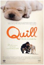 Watch Quill: The Life of a Guide Dog Vodly