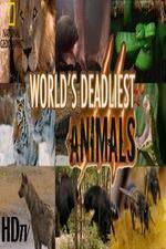 Watch National Geographic - Worlds Deadliest Animal Battles Vodly