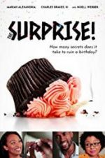 Watch The Surprise! Vodly