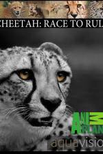 Watch Cheetah: Race to Rule Vodly