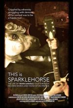 Watch This Is Sparklehorse Vodly