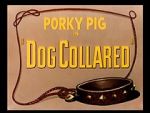Watch Dog Collared (Short 1950) Vodly