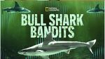 Watch Bull Shark Bandits Vodly