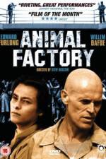 Watch Animal Factory Vodly