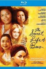 Watch The Secret Life of Bees Vodly