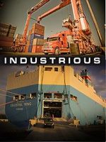 Watch Industrious Vodly