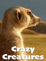Watch Crazy Creatures Vodly