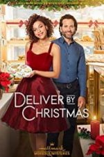 Watch Deliver by Christmas Vodly