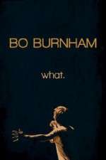 Watch Bo Burnham: what Vodly