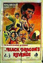Watch The Black Dragon's Revenge Vodly