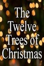 Watch The Twelve Trees of Christmas Vodly