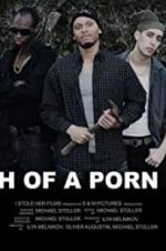 Watch Death of a Porn Crew Vodly