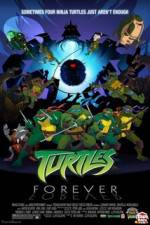 Watch Teenage Mutant Ninja Turtles Turtles Forever Vodly