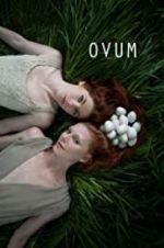 Watch Ovum Vodly