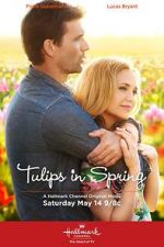 Watch Tulips in Spring Vodly